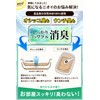 Iwakuni Recycled Energy, Cat Litter, Wood Pellet, 0.3 g, 1.8
