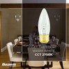 Bulbrite Incandescent B10 Medium Screw Base (E26) Light Bulb, 40