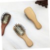 Healeved Mini Portable Hair Brush Detangling Hair Brush for Travel