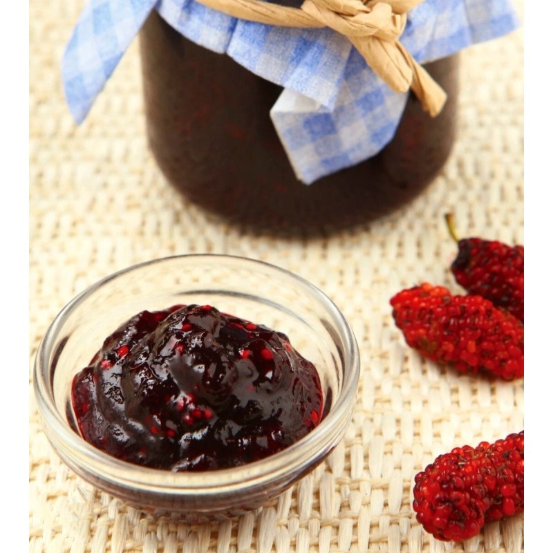 Seed-Top 200 Pakistan Mulberry Fruit Tree Seeds Popular Variety Rare