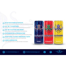 BLUMANIA ENERGY – TRIO, 8.4 Oz (Pack of 24), Flavor Assortment Case (3 flavors), No Jitters, No Preservatives