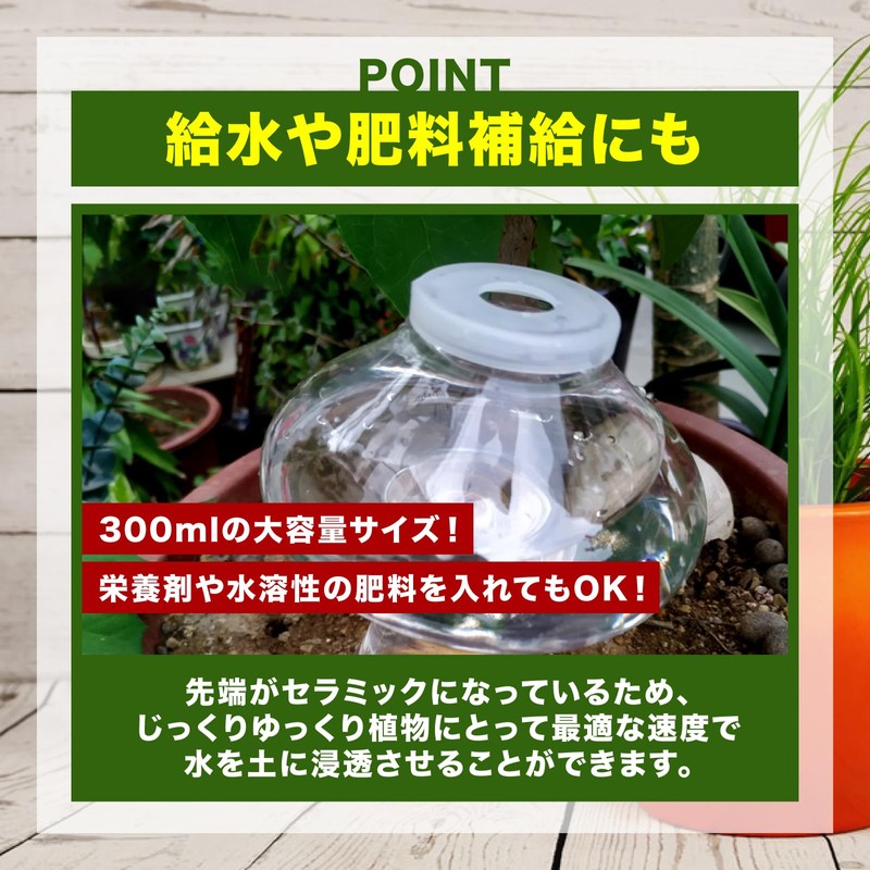 nijimomo Automatic Water Supply, 2 Pieces, Mushrooms, Large Capacity, Automatic