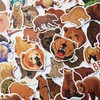 50Pcs Wild Brown Bear Stickers Cute Brown Bear Decal for