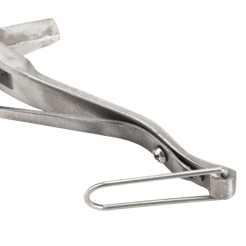 Pig Ear Tag Plier Stainless Steel Animal Ear Notcher with