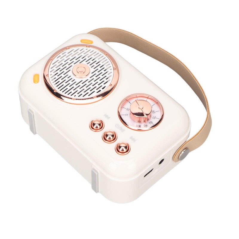 Karaoke Machine Multifunction Enhanced Bass 6 Modes Portable Bluetooth PA