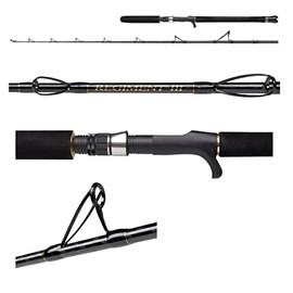 Penn Regiment Iii Jig Casting Jigging Vertical Sea Bait Fishing Rod