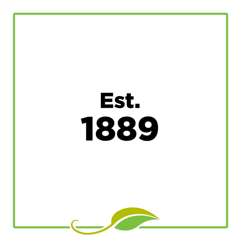 McCormick Gourmet Organic Crystallized Ginger, 2 Oz