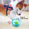 Jatmira Tough Dog Chew Toy for Small, Medium Breeds Ball