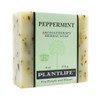Plant Life Peppermint Bar Soap, 113g – Invigorating & Moisturizing