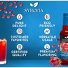 Syruvia Sugar-Free Pomegranate Syrup - 25.4 fl oz. Premium Flavoring