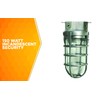 Woods L1706BS Vandal Resistant 150W Incandescent Security Light; Ceiling Mount;