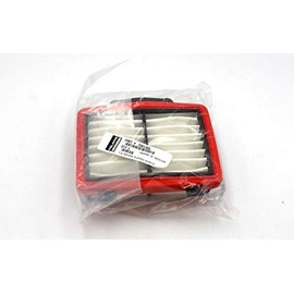 Victory Motorcycles Air Filter Specific for Vision, Arlen Ness Vision, Vision 8-Ball, Vision Tour Premium, Ness Vision, Ness Vision Street, Vision Tour, OEM Performance Air Filter, Part - 7081395