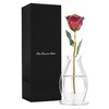 Forever Rose Bloom Box Bundle, 24K Gold Dipped Ruby Red