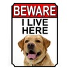BEWARE I LIVE HERE METAL GATE SIGN YELLOW LABRADOR 200MM
