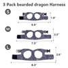 3 Pack Bearded Dragon Harness and Leash Set - Adjustable