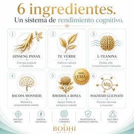 APOLO | Nootropico con Ginseng, Rhodiola Rosea, Bacopa Monnieri y L-Teanina | Energia y Enfoque Mental sin Jitters | Rendimiento Cognitivo | 90 Capsul