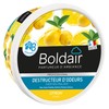 Boldair – Gel Distruggidocumenti odori Limone