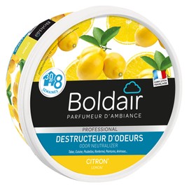 Boldair – Gel Distruggidocumenti odori Limone