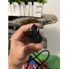 King-Cord KC-003 and KC-001 Power Cord - Black - Three-Prong