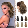 FESHFEN Drawstring Ponytail Extension, 15 inch Classic Loose Curly Wavy