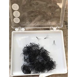 LASH BY HOLLY 6D PREMADE (HAND MADE) FAN LASHES (500 FANS/TRAY) FOR EYELASH EXTENSION, C CURL, D CURL AND M CURL, 0.07 THICKNESS, LENGTH FROM 9MM-15MM (C13mm6D)