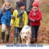 Dog Slip Leads Leash, 4.5FT Durable Puppy Rope Leashes Collar