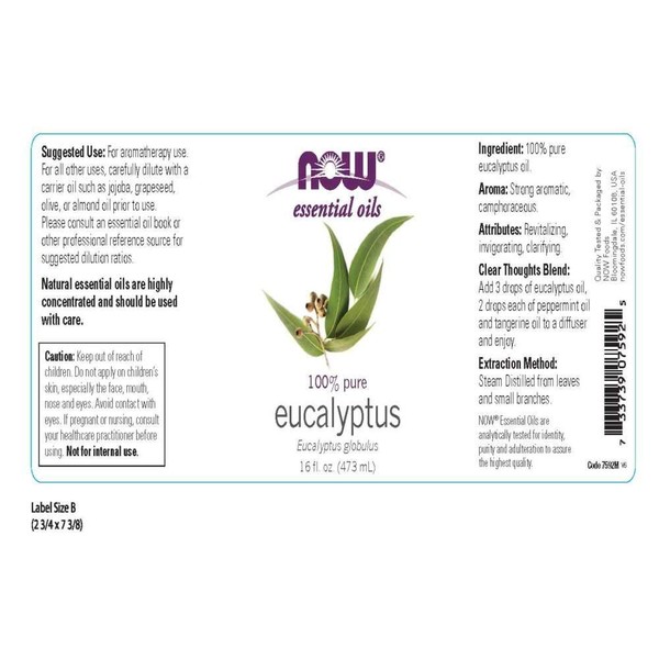 NOW Foods Eucalyptus Globulus Oil, 16 Fluid Ounce (2 Pack)