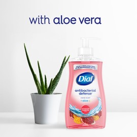 Dial Dial Antibacterial Liquid Hand Soap, Pomegranate Tangerine, 325ml