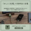 Owltech OEC-APD20A1C1R-SB AC Charger, USB Charger, PD20W, PSE Compatible, Folding
