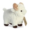 Aurora - Eco Nation - Ram - 20.32cm.