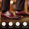 Rochester Premium Shoe Cream, Shoe Polish for Leather Shoes, Leather