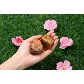 GUJOXILA Tiger's Eye Large Crystals Rough Stone Set of 2 Tiger's Eye Stone Real Natural Stone Rough Crystal Premium Water Stones Gifts 4.5-5.5cm