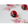 redchocol8(R Tiny Mini Glass Ladybirds Red Quality Mini Small Gloss