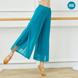 Adult Women's Classic Dance Practice Pants with Mesh Design - Spring/Summer New Chinese Ethnic Style Square Sprout Green + 2XL 2ea