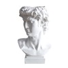 POCHY David Head Statue | Resin Bust Statue Art Craft