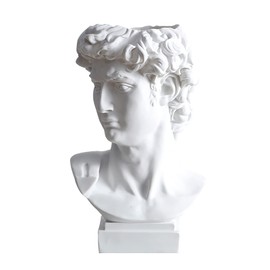 POCHY David Head Statue | Resin Bust Statue Art Craft Sketch Practice Ornaments - Home or Decoration