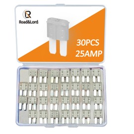 30PCS Micro 2 Blade Fuse ATR/APT Micro2 Fuse ATR/APT Blade Fuse Kit for Car Boat Truck SUV Automotive Replacement Fuses (10A) (25A)