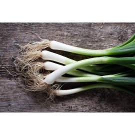 SeedsUA 3 PCs Live Onion Bunching  Green Vegetable Plant Organic