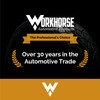 Workhorse Automotive Tire Valve Caps, tpms Valve stem caps, Grey