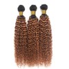 Niciitysi Light Brown Human Hair Color 1B30 Kinkycurly Bundles 12