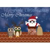12 Postkarten - Mix Eulen Weihnachten Weihnachtskarten 6 verschiedene Motive