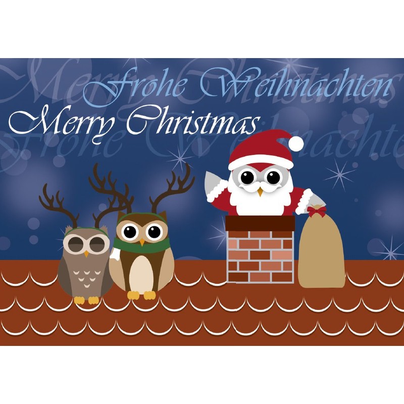 12 Postkarten - Mix Eulen Weihnachten Weihnachtskarten 6 verschiedene Motive