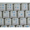Urdu Keyboard Decals ON Transparent Background with Blue, RED OR