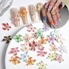 100 Stück Nail Charms Blumen Nagelcharms - 3D Blumen Nagelrhinesteine,