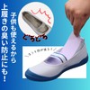 Amelia [Made in Japan/Disposable] Echizen Washi Insoles, Deodorizing, Set of