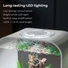 biOrb Life 15 Acrylic 4-Gallon Aquarium with White LED Lights