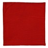 Linseed Cushion 19 x 19 cm Cherry Red Small Grain