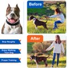 Supet Dog Prong Collar, Dog Choke Collar Adjustable Dog Pinch