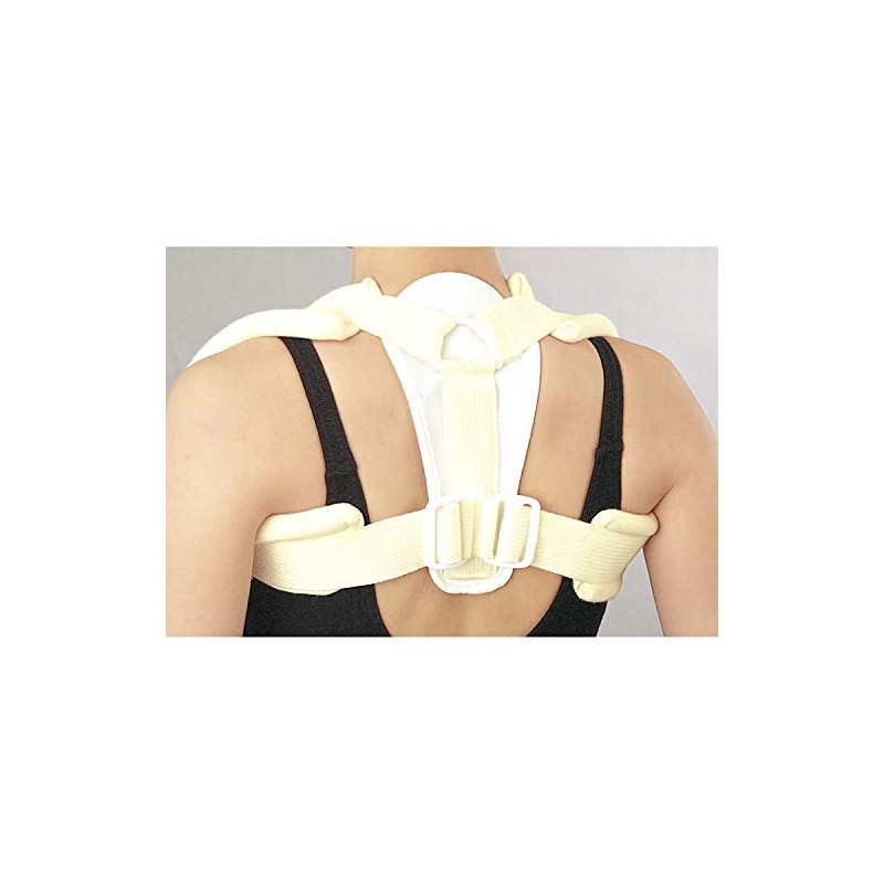 Japan Sigmax 15603(S) Crabicle Brace