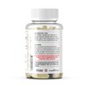 TerraForm Nutrition Gynostemma Pentaphyllum Supplement - 600mg per Capsule -